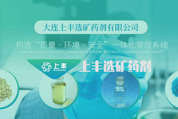 大連上豐選礦藥劑有限公司